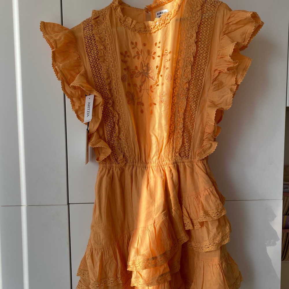 Aritzia Sunday Best Harriet Dress